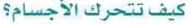 كيف تتحرك الأجسام؟
